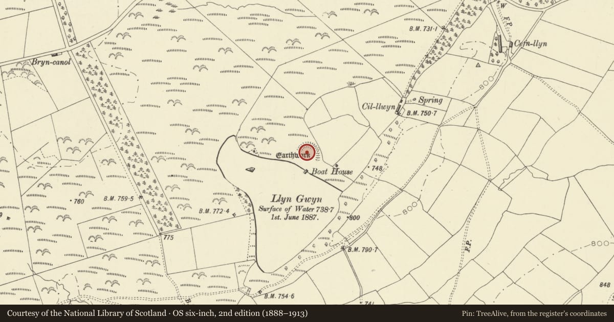 Ordnance Survey six-inch map, 2nd edition (1888–1913) covering the location of Llyn Gwyn Earthwork, Nantmel, Powys, with a pin at the register's coordinates