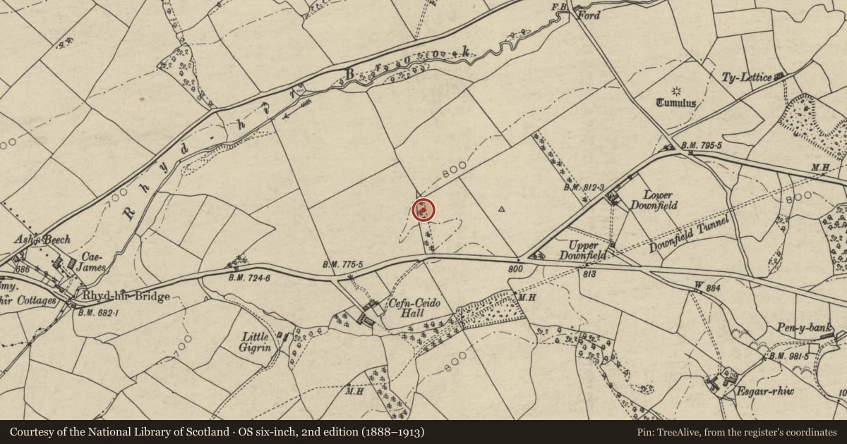 Ordnance Survey six-inch map, 2nd edition (1888–1913) covering the location of Round Barrow NE of Cefn-Ceido Hall, Nantmel, Powys, with a pin at the register's coordinates