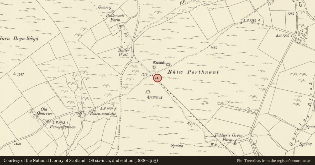 Ordnance Survey six-inch map, 2nd edition (1888–1913) covering the location of Three Round Barrows NW of Fiddler's Green Farm, Llanbadarn Fynydd, Powys, with a pin at the register's coordinates