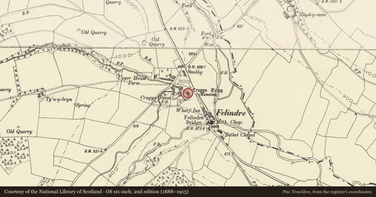 Ordnance Survey six-inch map, 2nd edition (1888–1913) covering the location of Crugyn Tump Castle Mound, Beguildy, Powys, with a pin at the register's coordinates