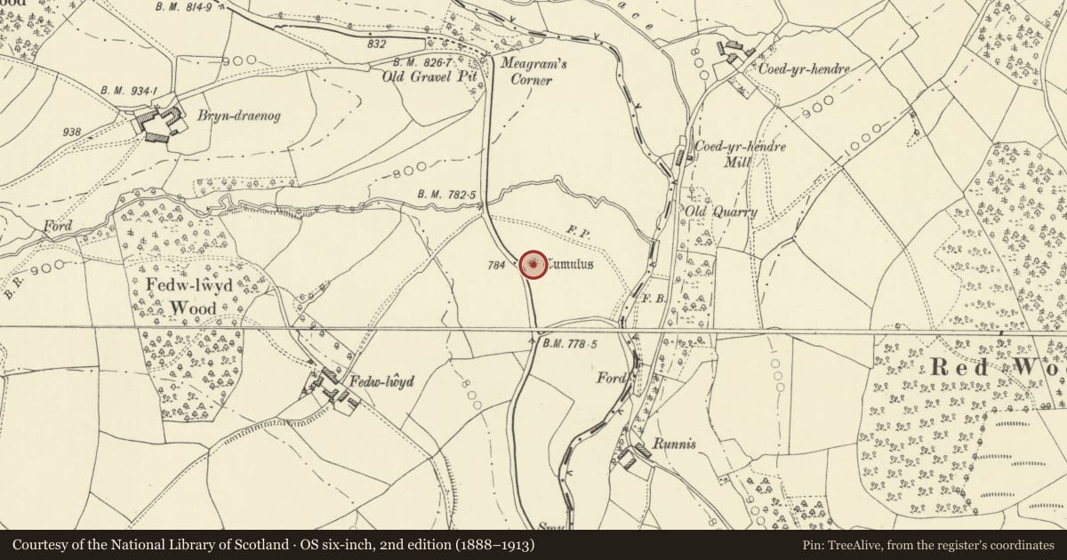 Ordnance Survey six-inch map, 2nd edition (1888–1913) covering the location of Round Barrow S of Meagram's Corner, Beguildy, Powys, with a pin at the register's coordinates