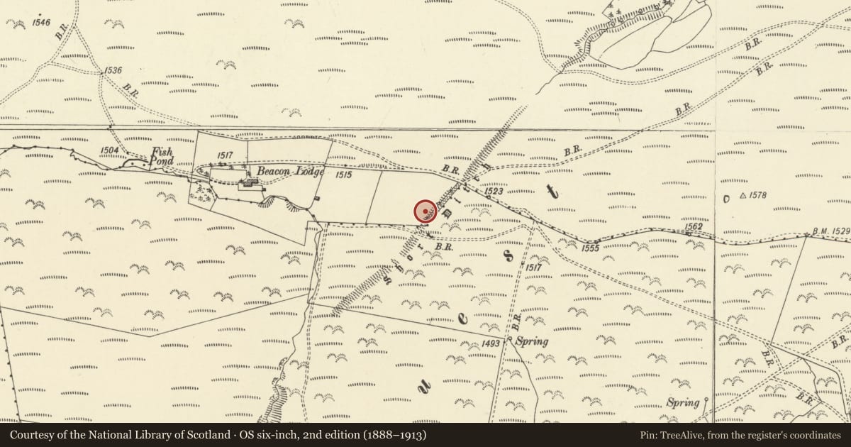 Ordnance Survey six-inch map, 2nd edition (1888–1913) covering the location of Short Ditch near Beacon Lodge, Llangunllo, Powys, with a pin at the register's coordinates