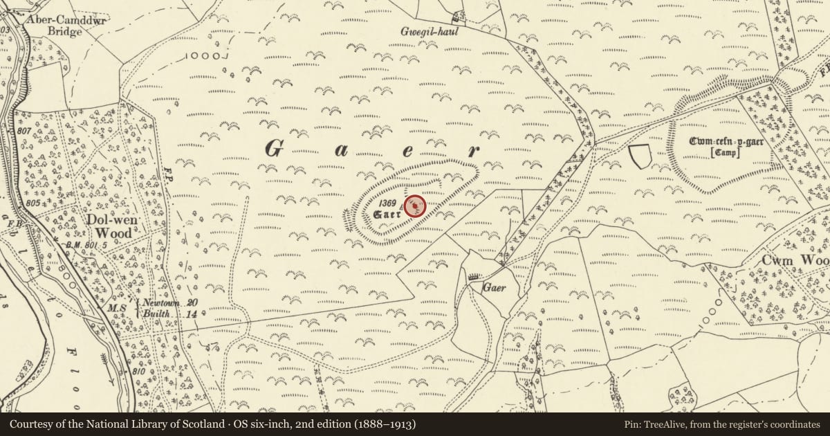 Ordnance Survey six-inch map, 2nd edition (1888–1913) covering the location of Camp W of Cwm Cefn y Gaer, Llanddewi Ystradenny, Powys, with a pin at the register's coordinates