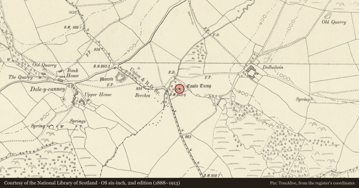 Ordnance Survey six-inch map, 2nd edition (1888–1913) covering the location of Dolbedwin Castle Mound, Gladestry, Powys, with a pin at the register's coordinates