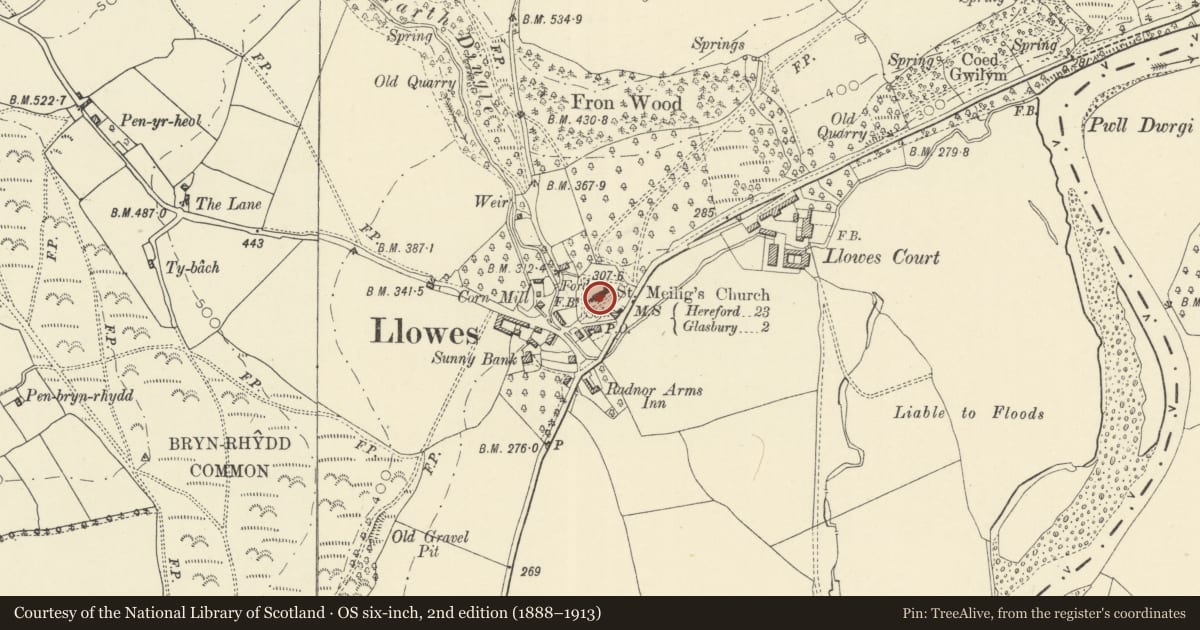 Ordnance Survey six-inch map, 2nd edition (1888–1913) covering the location of Cross Slab in Llowes Church, Glasbury, Powys, with a pin at the register's coordinates