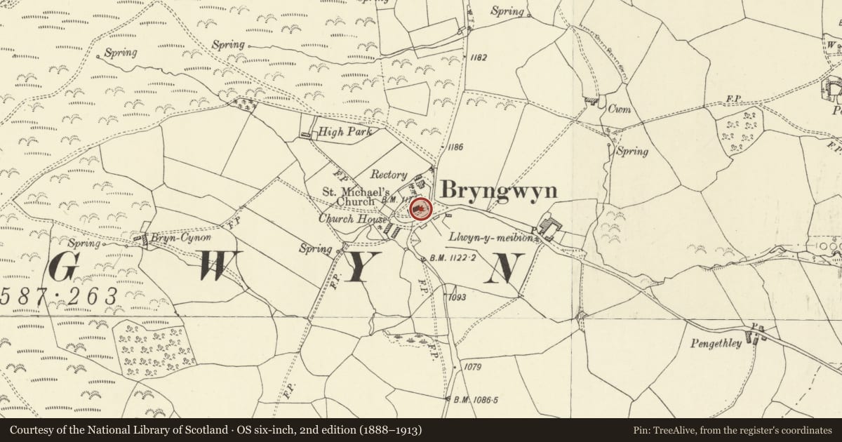 Ordnance Survey six-inch map, 2nd edition (1888–1913) covering the location of Pillar Stone in Church, Painscastle, Powys, with a pin at the register's coordinates