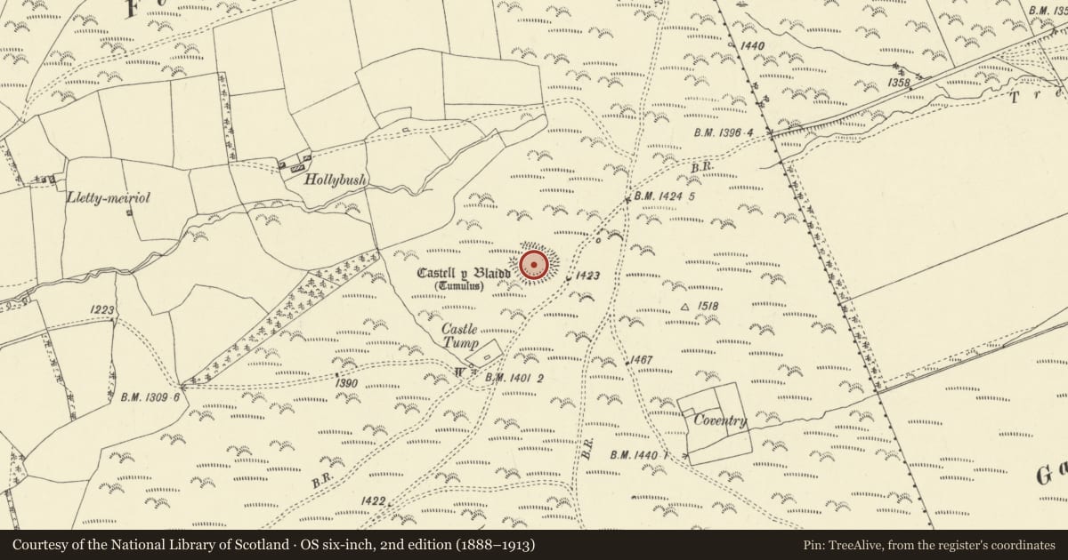 Ordnance Survey six-inch map, 2nd edition (1888–1913) covering the location of Castell y Blaidd, Llanbadarn Fynydd, Powys, with a pin at the register's coordinates