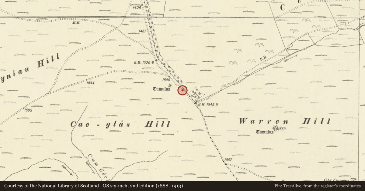 Ordnance Survey six-inch map, 2nd edition (1888–1913) covering the location of Cae-glas Round Barrows, Beguildy, Powys, with a pin at the register's coordinates