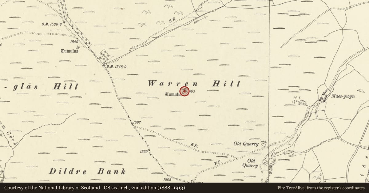 Ordnance Survey six-inch map, 2nd edition (1888–1913) covering the location of Warren Hill Round Barrow, Beguildy, Powys, with a pin at the register's coordinates