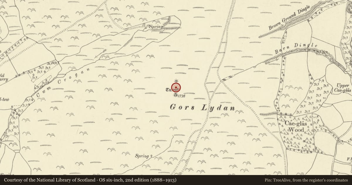 Ordnance Survey six-inch map, 2nd edition (1888–1913) covering the location of Gors Lydan Round Barrows, Llanbister, Powys, with a pin at the register's coordinates