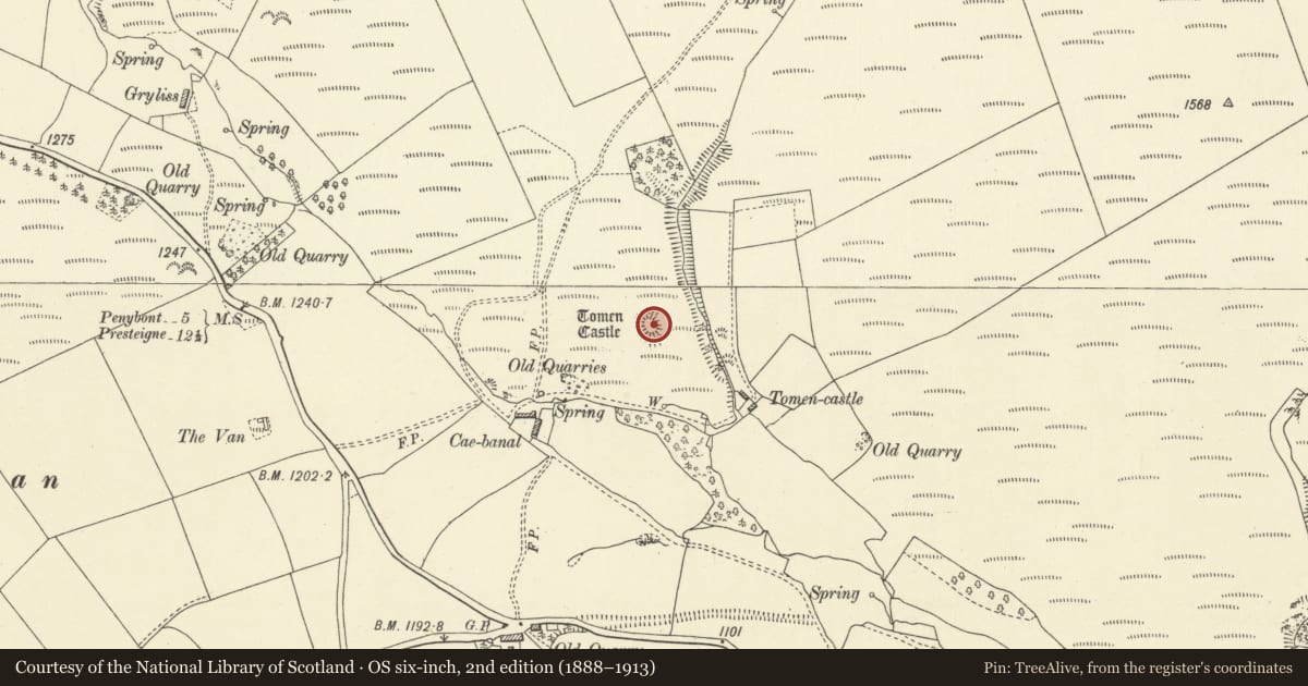 Ordnance Survey six-inch map, 2nd edition (1888–1913) covering the location of Cae-Banal Castle Mound, New Radnor, Powys, with a pin at the register's coordinates
