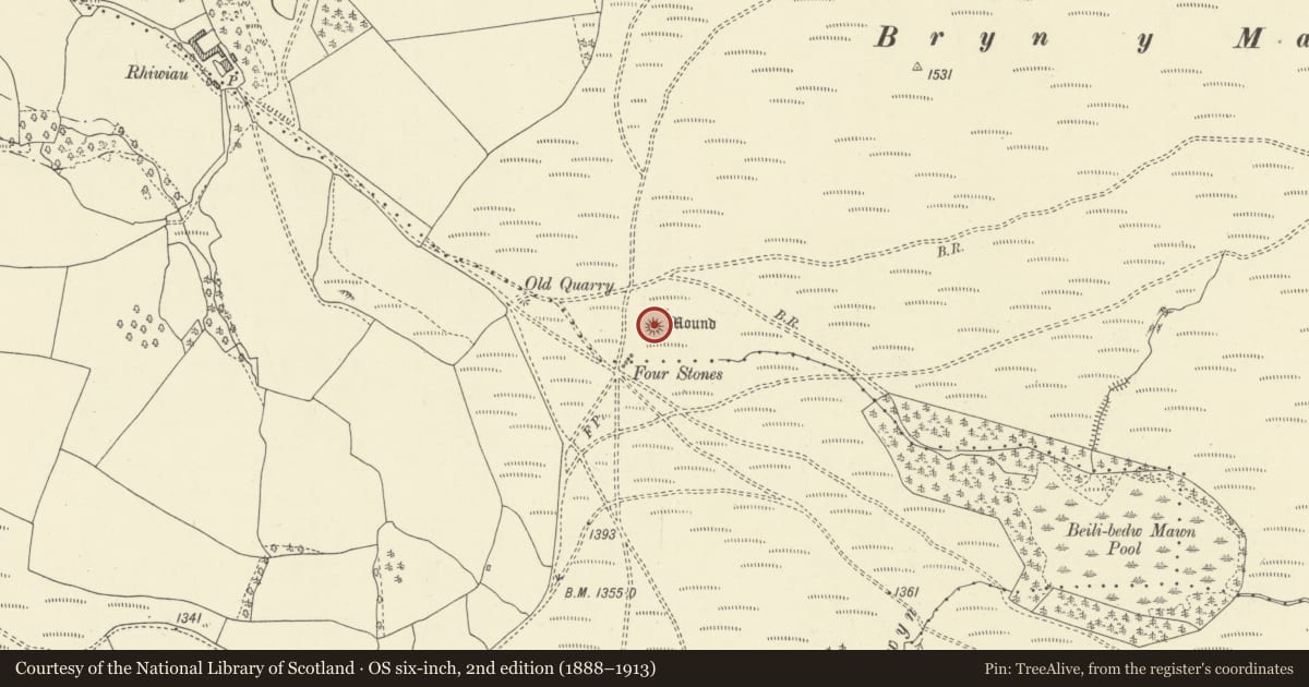 Ordnance Survey six-inch map, 2nd edition (1888–1913) covering the location of Bryn y Maen Round Barrow, New Radnor, Powys, with a pin at the register's coordinates