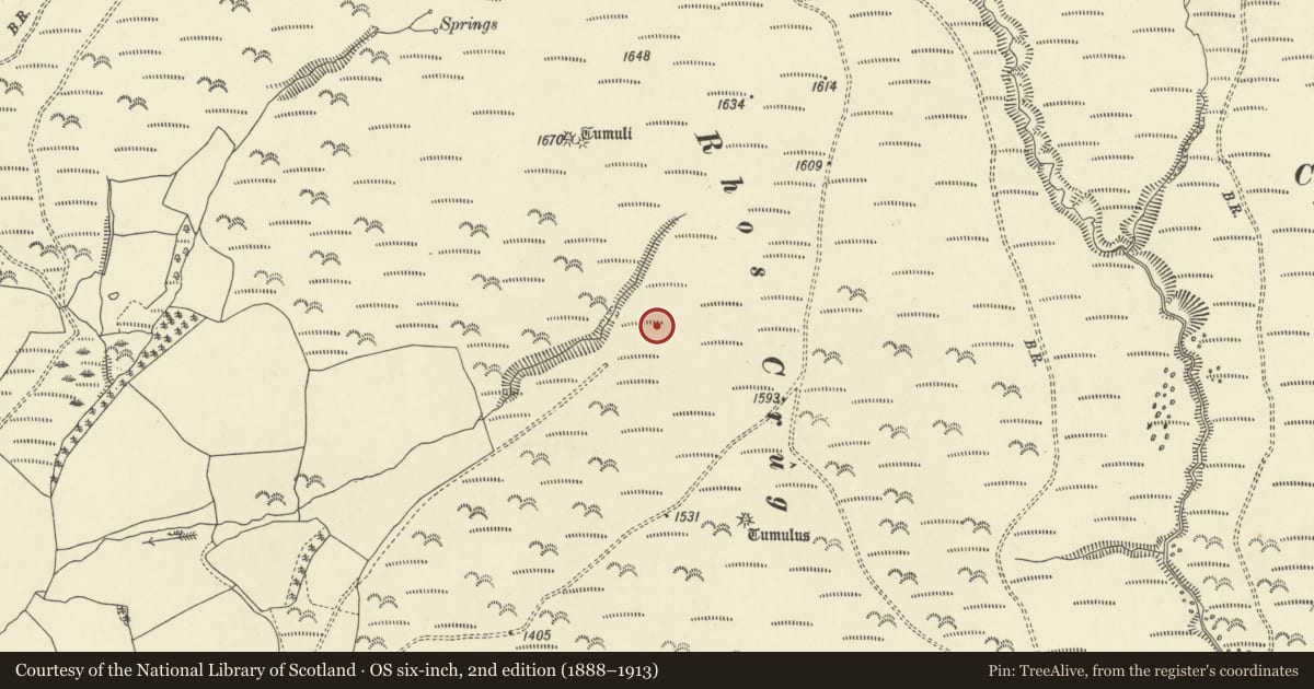 Ordnance Survey six-inch map, 2nd edition (1888–1913) covering the location of Rhos Crug Round Barrows, Llanbister, Powys, with a pin at the register's coordinates
