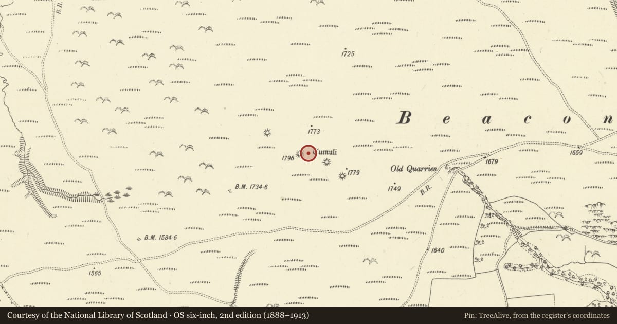 Ordnance Survey six-inch map, 2nd edition (1888–1913) covering the location of Beacon Hill Round Barrows, Beguildy, Powys, with a pin at the register's coordinates