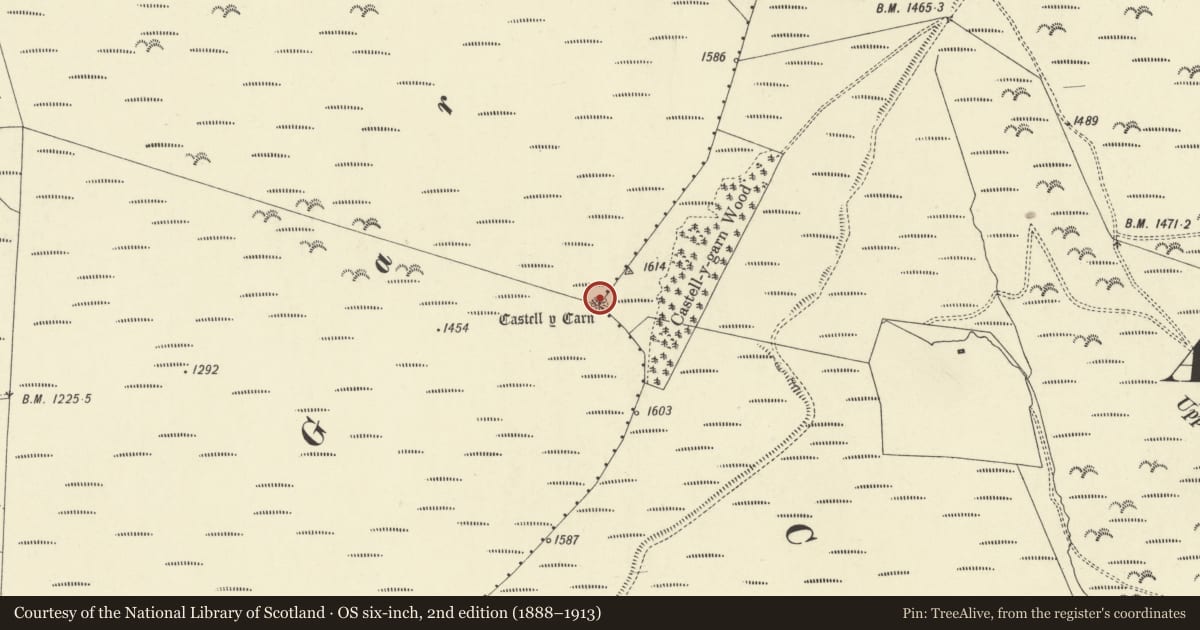 Ordnance Survey six-inch map, 2nd edition (1888–1913) covering the location of Castell y Garn, Abbey Cwmhir, Powys, with a pin at the register's coordinates