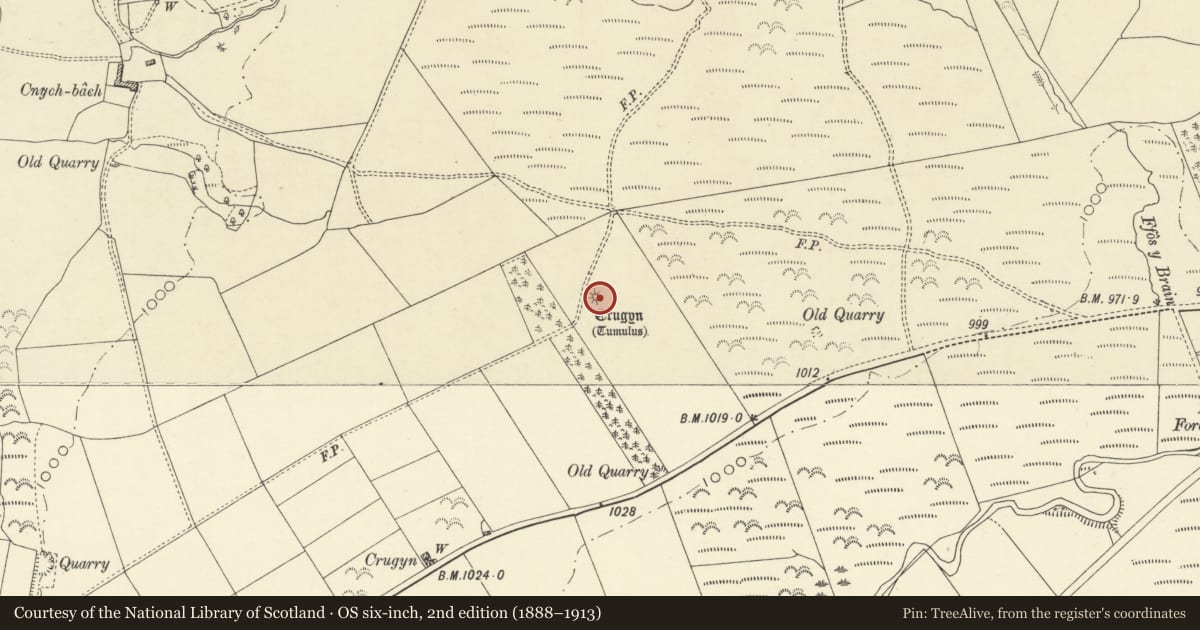 Ordnance Survey six-inch map, 2nd edition (1888–1913) covering the location of Cnych Round Barrow, St. Harmon, Powys, with a pin at the register's coordinates