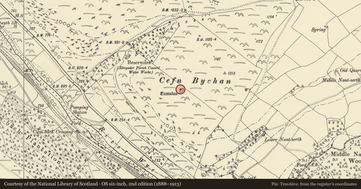 Ordnance Survey six-inch map, 2nd edition (1888–1913) covering the location of Cefn Bychan Mound (Pillow Mound), St. Harmon, Powys, with a pin at the register's coordinates