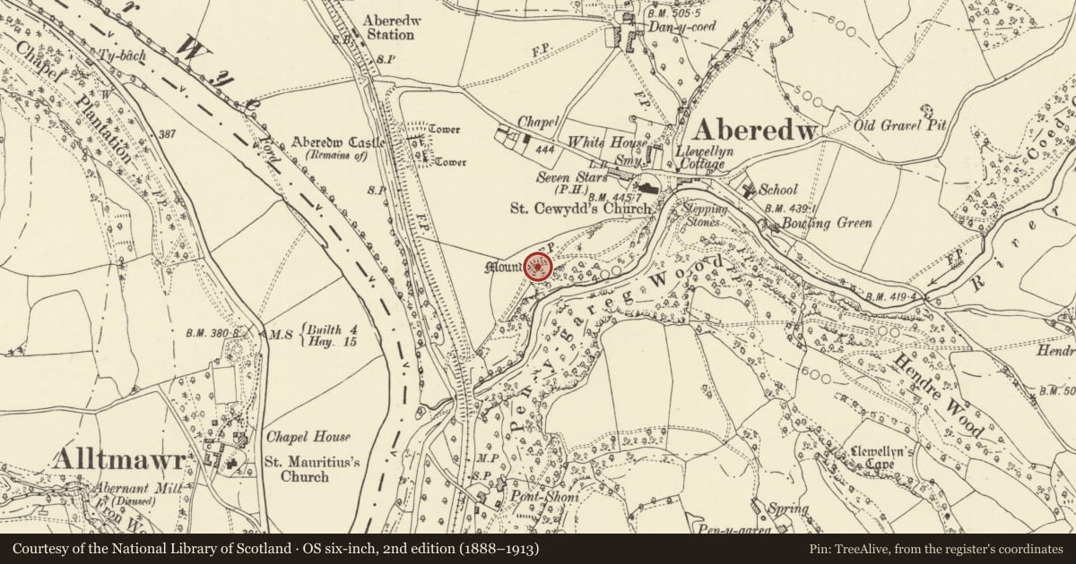 Ordnance Survey six-inch map, 2nd edition (1888–1913) covering the location of Aberedw Castle Mound, Powys, with a pin at the register's coordinates
