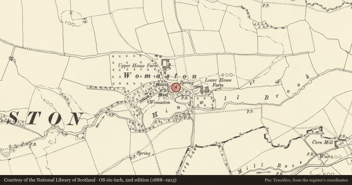 Ordnance Survey six-inch map, 2nd edition (1888–1913) covering the location of Womaston Castle Mound, Old Radnor, Powys, with a pin at the register's coordinates