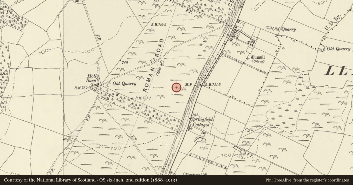 Ordnance Survey six-inch map, 2nd edition (1888–1913) covering the location of Roman Earthworks S of Llandrindod Wells, Powys, with a pin at the register's coordinates