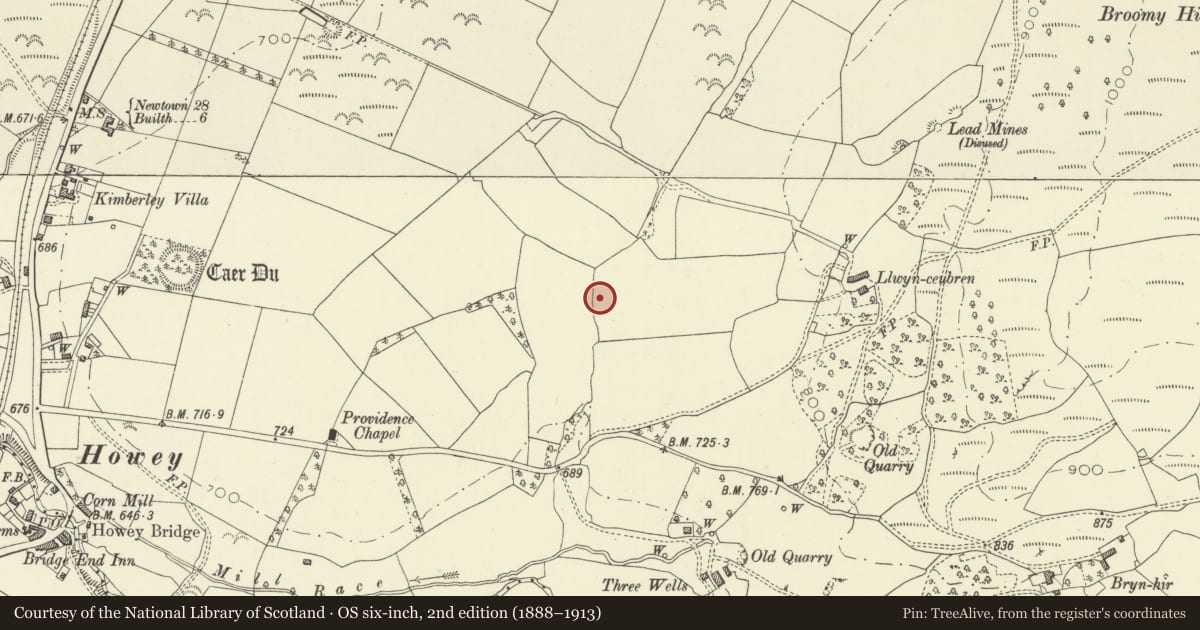 Ordnance Survey six-inch map, 2nd edition (1888–1913) covering the location of Llwyn-Ceubren Round Barrow, Disserth and Trecoed, Powys, with a pin at the register's coordinates