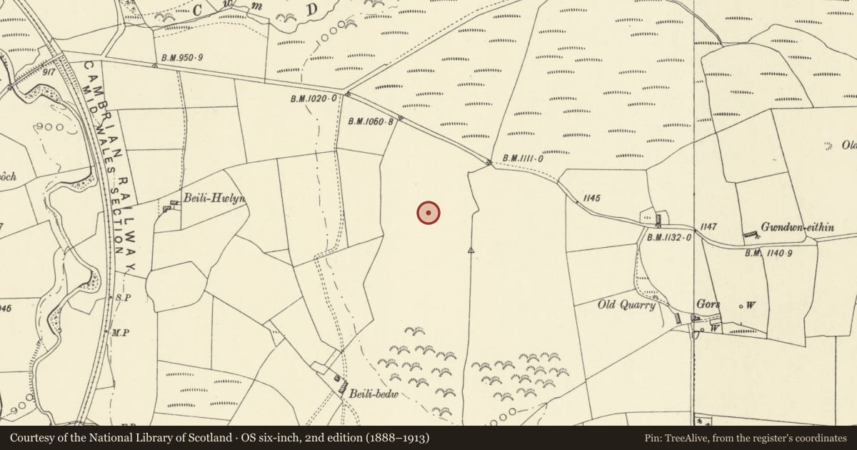 Ordnance Survey six-inch map, 2nd edition (1888–1913) covering the location of Beili-Bedw Earthworks, St. Harmon, Powys, with a pin at the register's coordinates