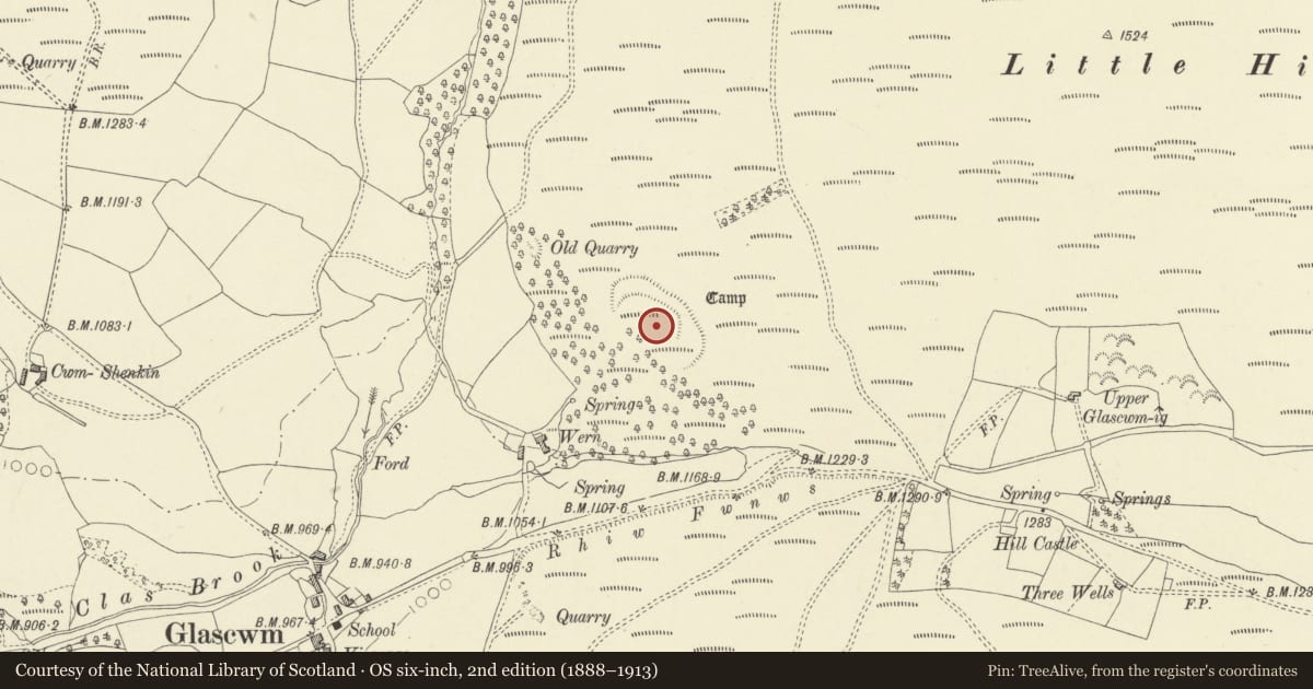 Ordnance Survey six-inch map, 2nd edition (1888–1913) covering the location of Wern Camp, Glascwm, Powys, with a pin at the register's coordinates