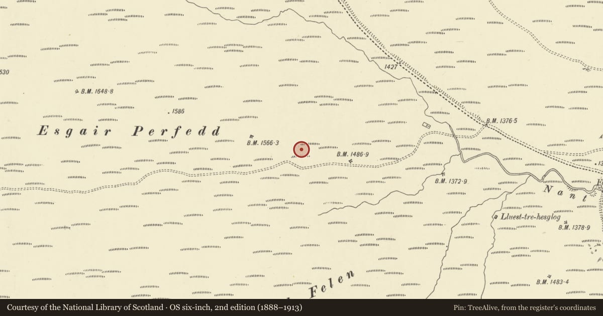 Ordnance Survey six-inch map, 2nd edition (1888–1913) covering the location of Esgairperfedd Marching Camp, Rhayader, Powys, with a pin at the register's coordinates