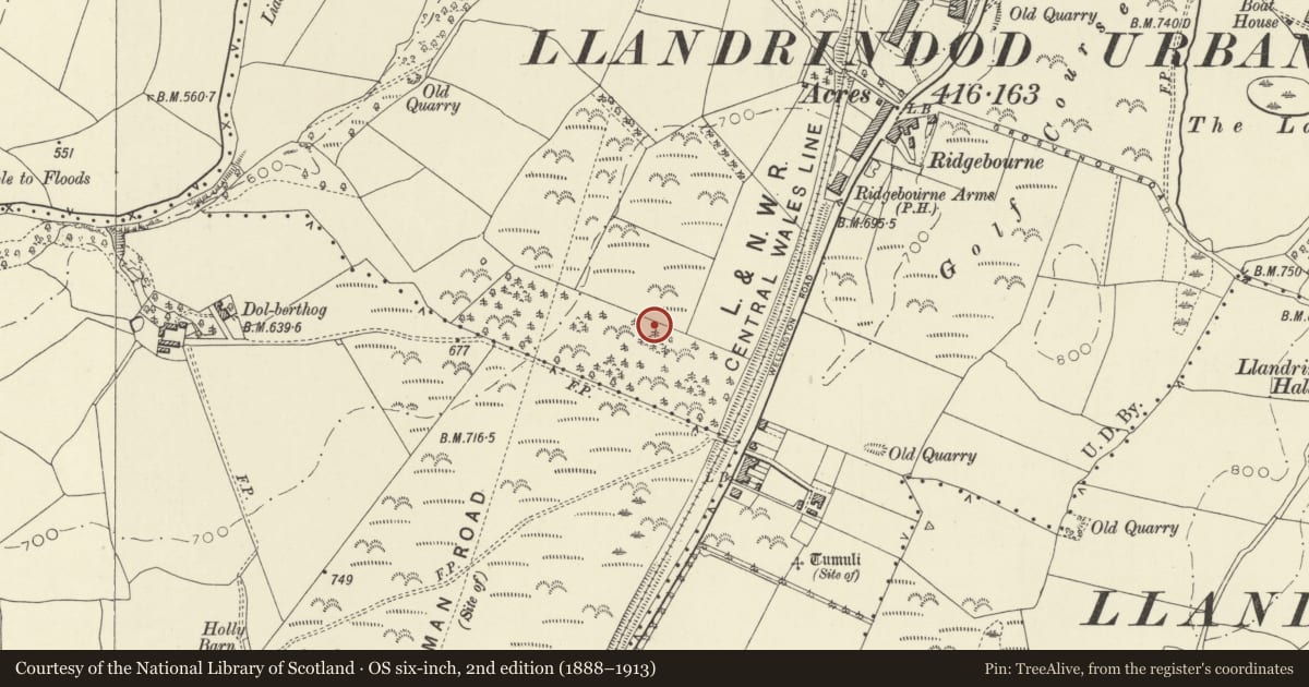 Ordnance Survey six-inch map, 2nd edition (1888–1913) covering the location of Llandrindod Common Roman Practice Camps, Llandrindod Wells, Powys, with a pin at the register's coordinates
