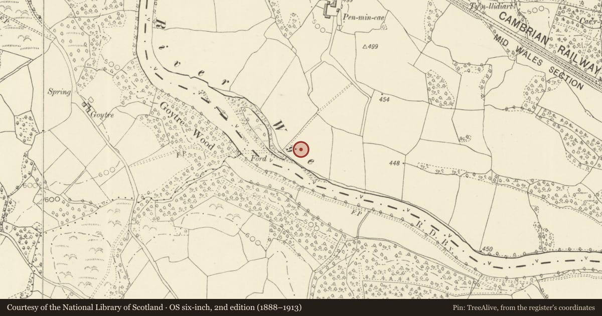 Ordnance Survey six-inch map, 2nd edition (1888–1913) covering the location of Roman Fortlet (revealed by aerial photography), Disserth, Disserth and Trecoed, Powys, with a pin at the register's coordinates