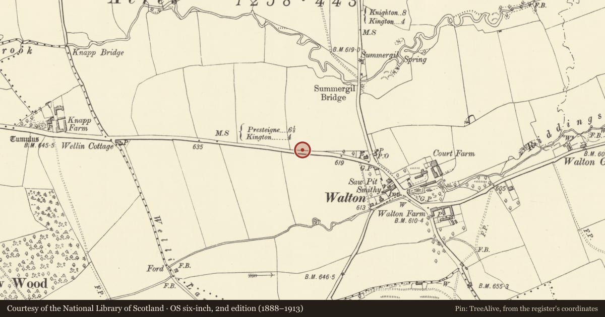 Ordnance Survey six-inch map, 2nd edition (1888–1913) covering the location of Three Roman Camps (revealed by aerial photography) NE of Walton, Old Radnor, Powys, with a pin at the register's coordinates