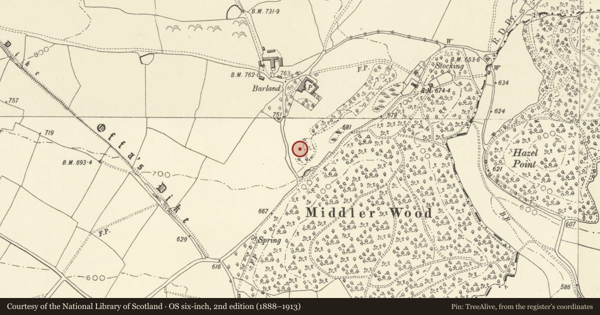 Ordnance Survey six-inch map, 2nd edition (1888–1913) covering the location of Barland Motte and Bailey, Old Radnor, Powys, with a pin at the register's coordinates