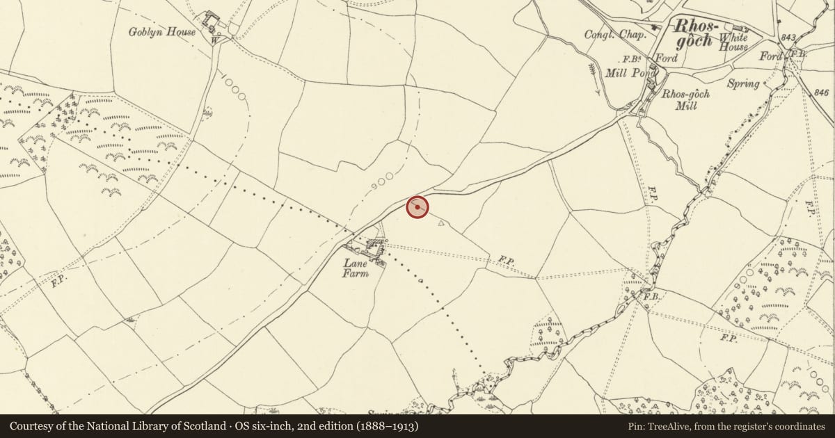 Ordnance Survey six-inch map, 2nd edition (1888–1913) covering the location of Lane Farm Round Barrow, Painscastle, Powys, with a pin at the register's coordinates