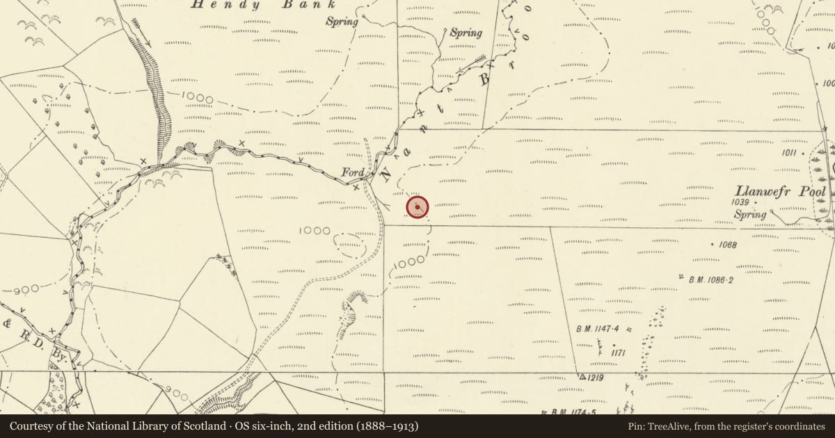 Ordnance Survey six-inch map, 2nd edition (1888–1913) covering the location of Nant Brook Enclosure, Glascwm, Powys, with a pin at the register's coordinates