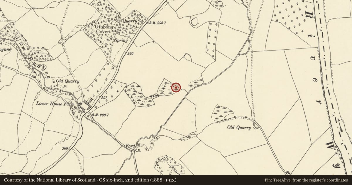 Ordnance Survey six-inch map, 2nd edition (1888–1913) covering the location of Lower House Moated Site, Clyro, Powys, with a pin at the register's coordinates
