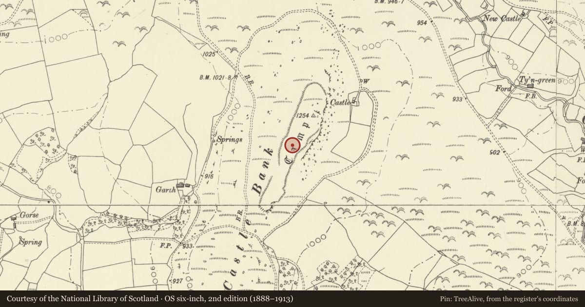 Ordnance Survey six-inch map, 2nd edition (1888–1913) covering the location of Castle Bank Hillfort, Glascwm, Powys, with a pin at the register's coordinates