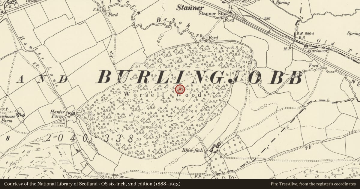 Ordnance Survey six-inch map, 2nd edition (1888–1913) covering the location of Worsell Wood cairn cemetery, Old Radnor, Powys, with a pin at the register's coordinates