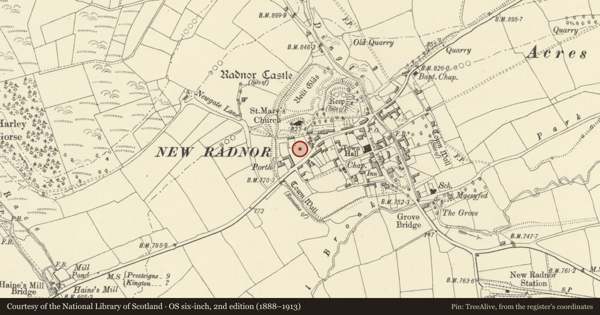 Ordnance Survey six-inch map, 2nd edition (1888–1913) covering the location of New Radnor: Interior of Medieval Town, Powys, with a pin at the register's coordinates