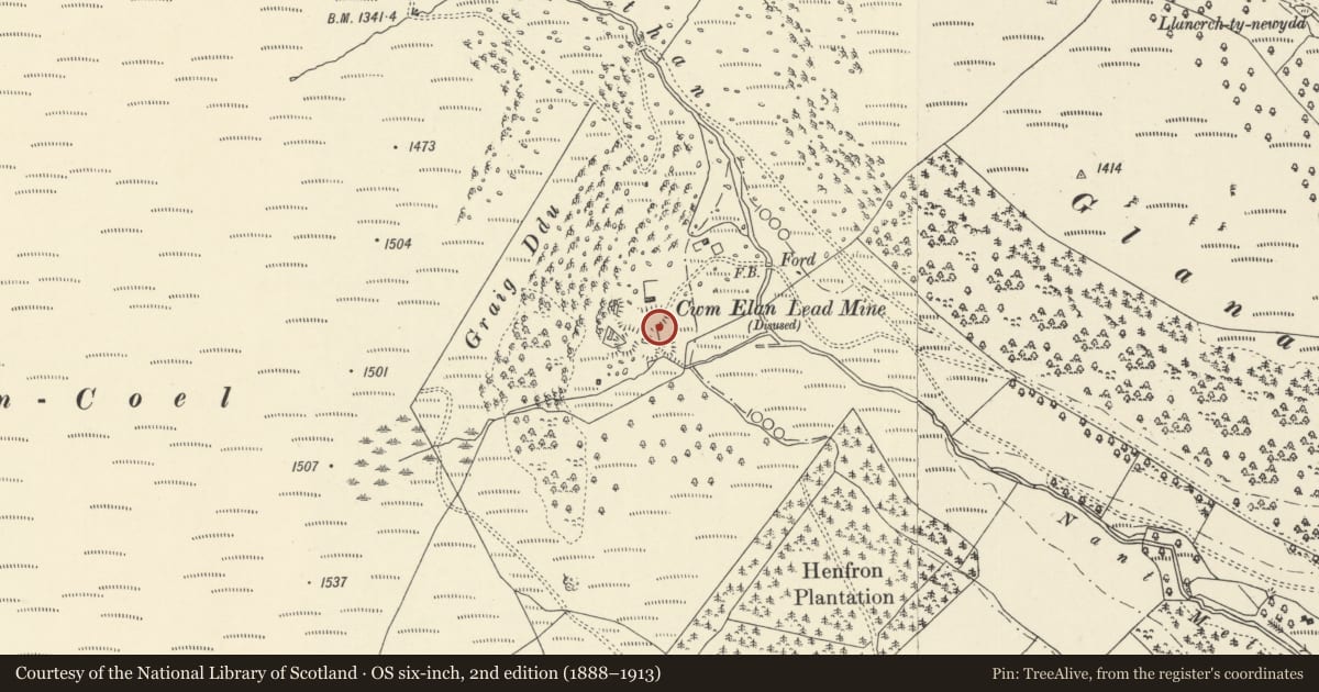 Ordnance Survey six-inch map, 2nd edition (1888–1913) covering the location of Cwm Elan Lead Mine, Rhayader, Powys, with a pin at the register's coordinates