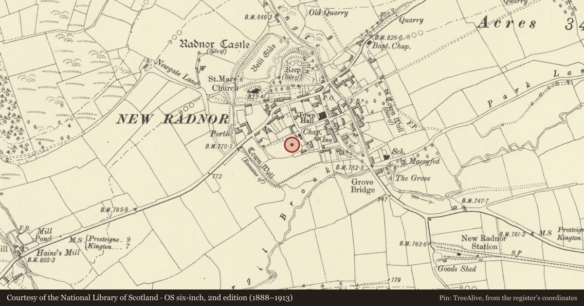 Ordnance Survey six-inch map, 2nd edition (1888–1913) covering the location of New Radnor Medieval Town: South West Quadrant, Powys, with a pin at the register's coordinates