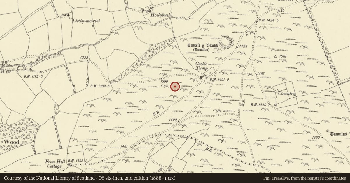 Ordnance Survey six-inch map, 2nd edition (1888–1913) covering the location of Castell y Blaidd Medieval Settlement, Llanbadarn Fynydd, Powys, with a pin at the register's coordinates