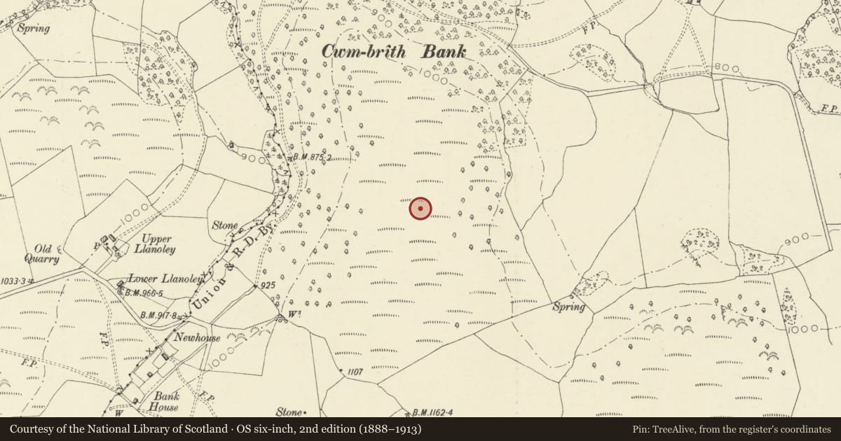 Ordnance Survey six-inch map, 2nd edition (1888–1913) covering the location of Cwmbrith Round Cairn, Penybont, Powys, with a pin at the register's coordinates