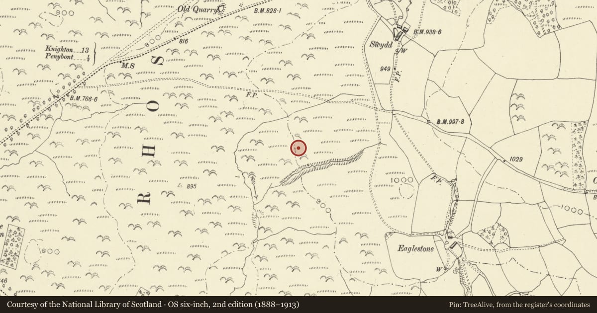 Ordnance Survey six-inch map, 2nd edition (1888–1913) covering the location of Medieval Settlement on Penybont Common, Powys, with a pin at the register's coordinates
