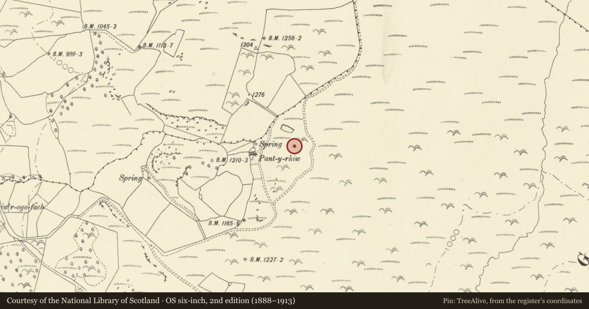 Ordnance Survey six-inch map, 2nd edition (1888–1913) covering the location of Pant y Rhiw Medieval Settlement, Glascwm, Powys, with a pin at the register's coordinates
