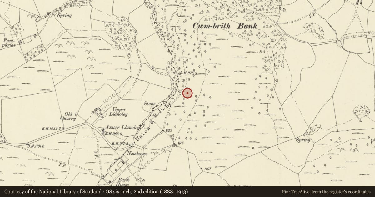 Ordnance Survey six-inch map, 2nd edition (1888–1913) covering the location of Bank House Medieval Settlement, Penybont, Powys, with a pin at the register's coordinates