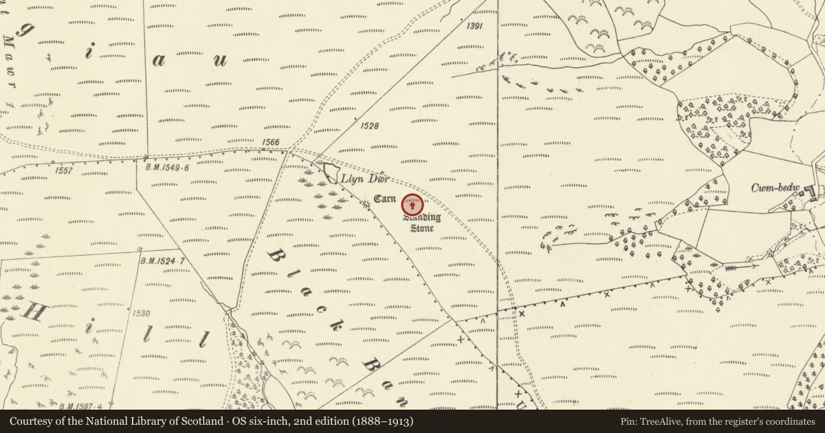 Ordnance Survey six-inch map, 2nd edition (1888–1913) covering the location of Llyn Dwr Standing Stone, Abbey Cwmhir, Powys, with a pin at the register's coordinates