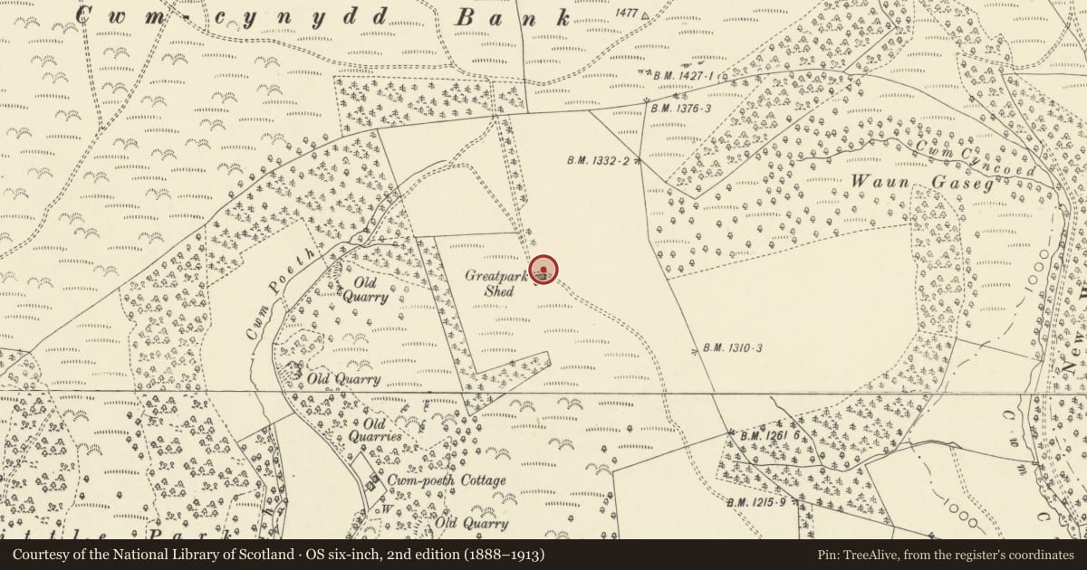 Ordnance Survey six-inch map, 2nd edition (1888–1913) covering the location of Abbey Cwmhir Great Park Shed, Powys, with a pin at the register's coordinates