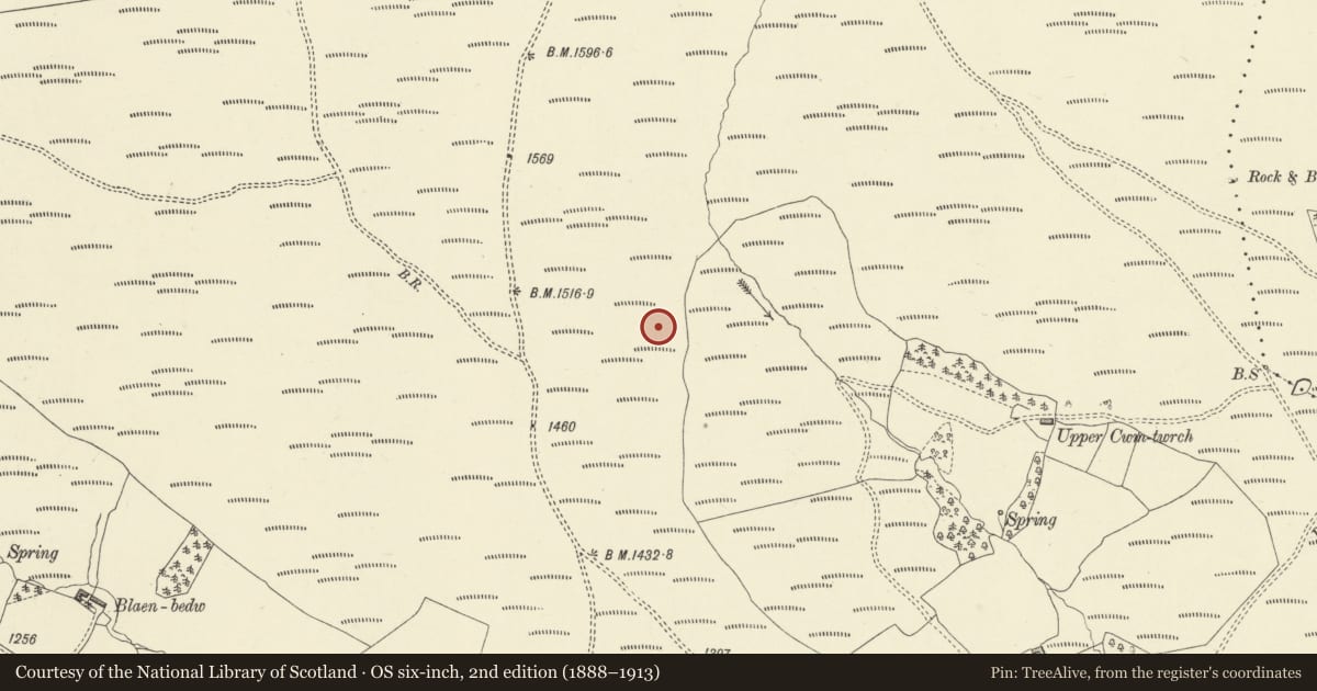 Ordnance Survey six-inch map, 2nd edition (1888–1913) covering the location of Cwm-Twrch Medieval Settlement, Glascwm, Powys, with a pin at the register's coordinates