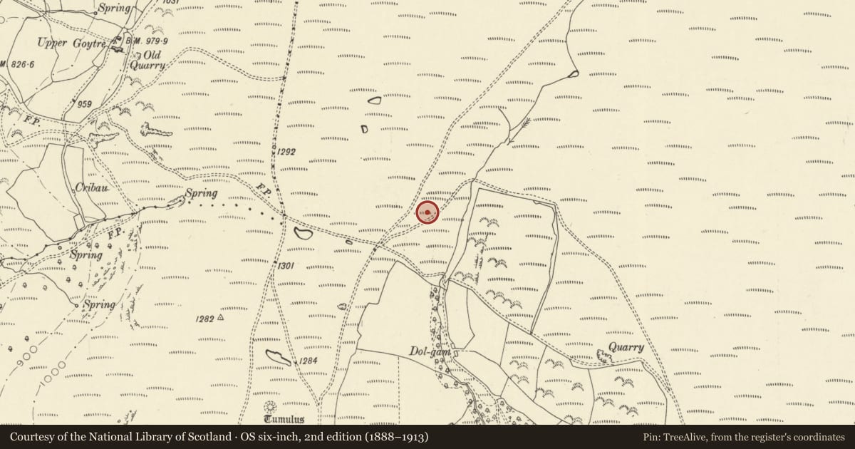 Ordnance Survey six-inch map, 2nd edition (1888–1913) covering the location of Aberedw Hill Deserted Rural Settlement, Powys, with a pin at the register's coordinates