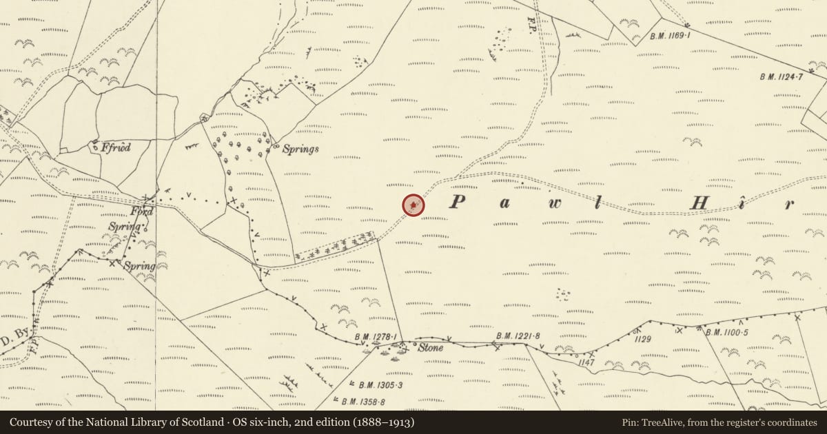 Ordnance Survey six-inch map, 2nd edition (1888–1913) covering the location of Pawl Hir Ring Cairn, Penybont, Powys, with a pin at the register's coordinates